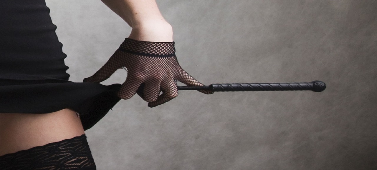 BDSM riding crop